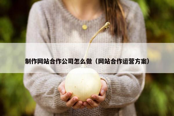 制作网站合作公司怎么做（网站合作运营方案）