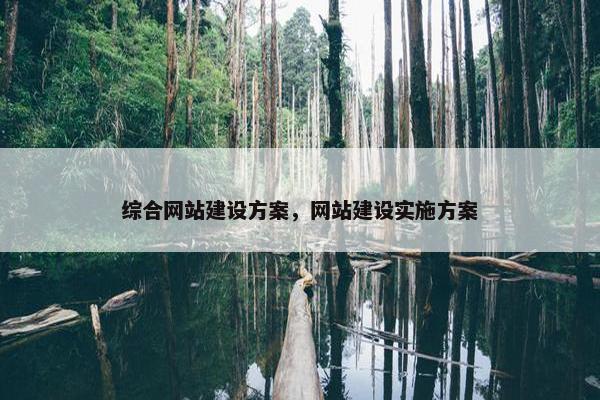 综合网站建设方案，网站建设实施方案