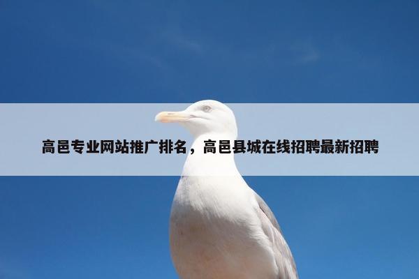 高邑专业网站推广排名，高邑县城在线招聘最新招聘