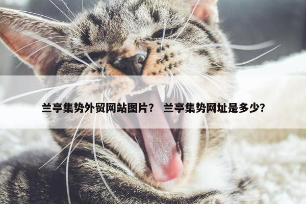 兰亭集势外贸网站图片？ 兰亭集势网址是多少？