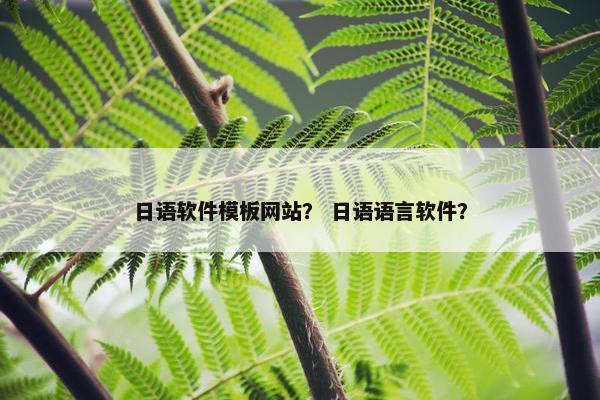 日语软件模板网站？ 日语语言软件？