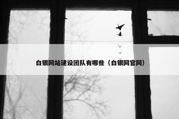 白银网站建设团队有哪些（白银网官网）