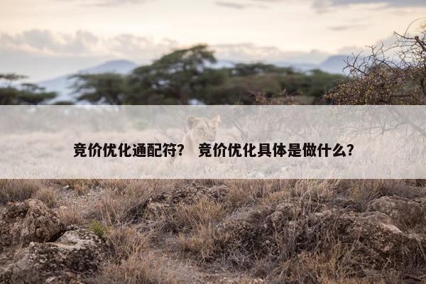 竞价优化通配符？ 竞价优化具体是做什么？
