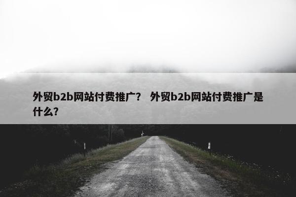 外贸b2b网站付费推广？ 外贸b2b网站付费推广是什么？