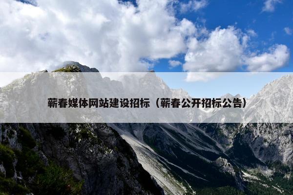 蕲春媒体网站建设招标（蕲春公开招标公告）