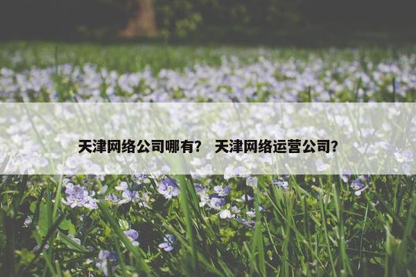 天津网络公司哪有？ 天津网络运营公司？