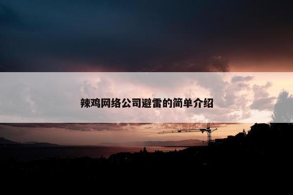 辣鸡网络公司避雷的简单介绍