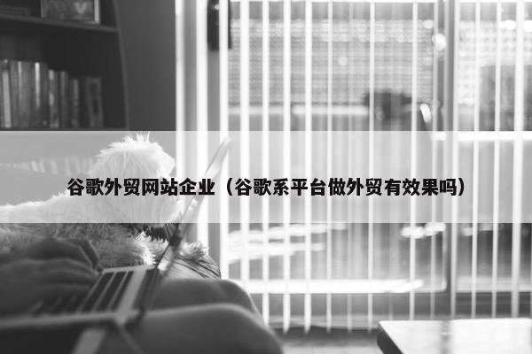 谷歌外贸网站企业（谷歌系平台做外贸有效果吗）