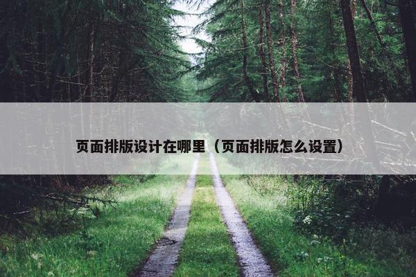页面排版设计在哪里（页面排版怎么设置）