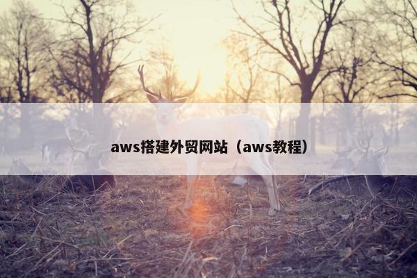aws搭建外贸网站（aws教程）