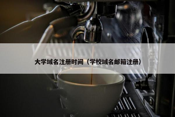 大学域名注册时间（学校域名邮箱注册）