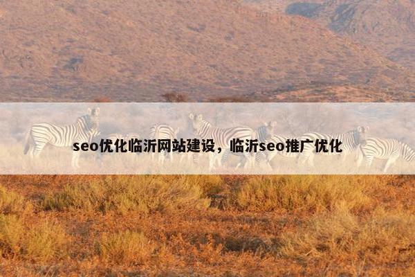 seo优化临沂网站建设，临沂seo推广优化