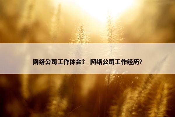 网络公司工作体会？ 网络公司工作经历？