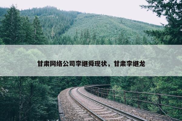 甘肃网络公司李继舜现状，甘肃李继龙