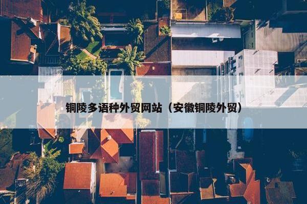 铜陵多语种外贸网站（安徽铜陵外贸）