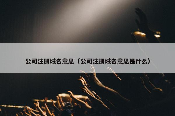 公司注册域名意思（公司注册域名意思是什么）