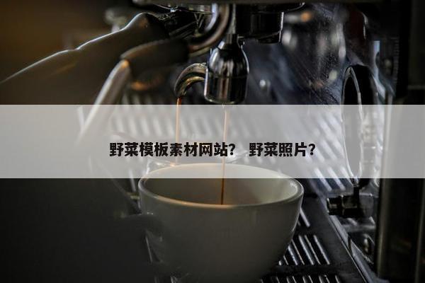 野菜模板素材网站？ 野菜照片？