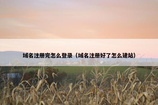 域名注册完怎么登录（域名注册好了怎么建站）
