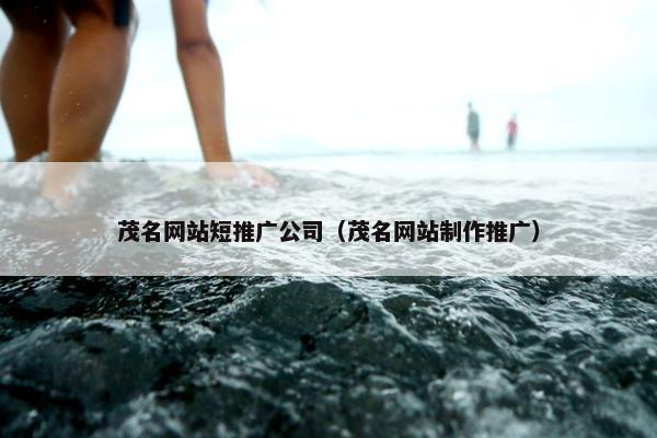 茂名网站短推广公司（茂名网站制作推广）