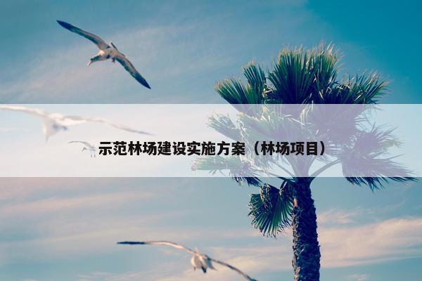 示范林场建设实施方案（林场项目）