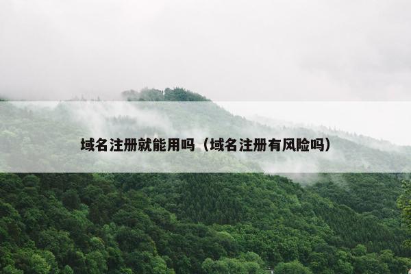 域名注册就能用吗（域名注册有风险吗）