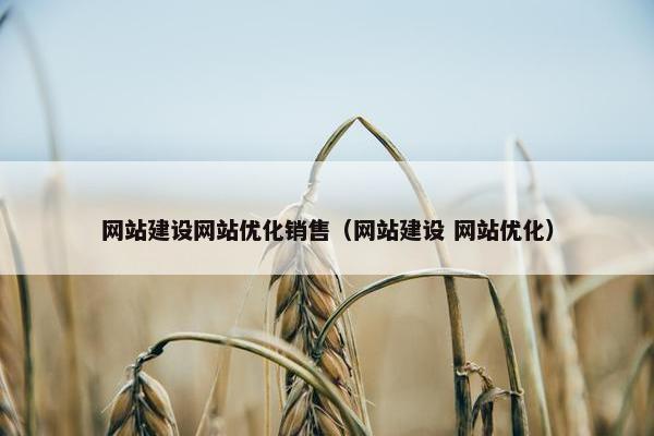 网站建设网站优化销售（网站建设 网站优化）
