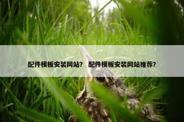 配件模板安装网站？ 配件模板安装网站推荐？