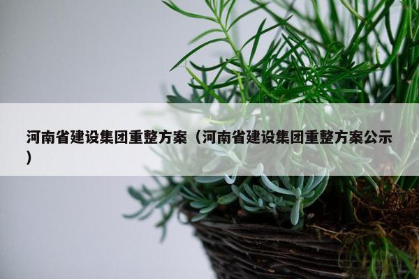 河南省建设集团重整方案（河南省建设集团重整方案公示）