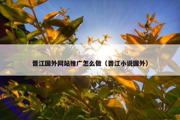 晋江国外网站推广怎么做（晋江小说国外）