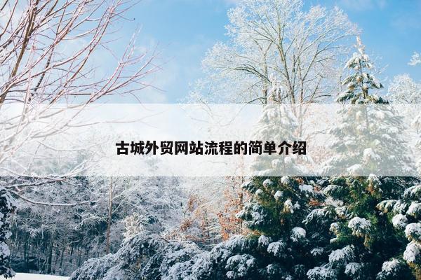 古城外贸网站流程的简单介绍