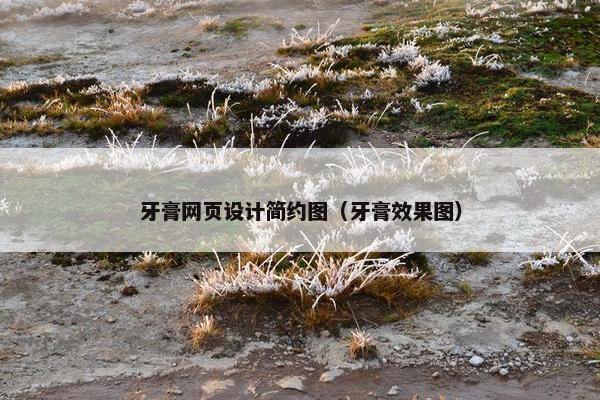 牙膏网页设计简约图（牙膏效果图）