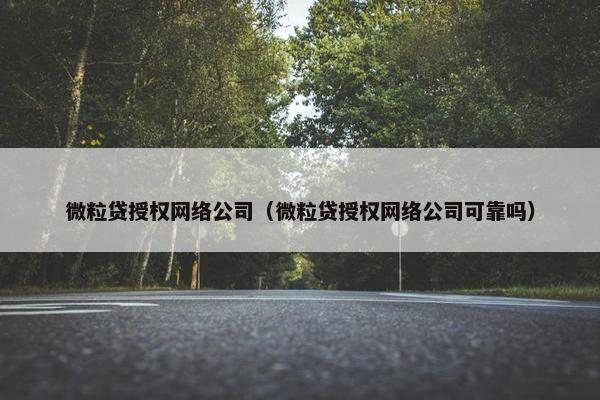 微粒贷授权网络公司（微粒贷授权网络公司可靠吗）