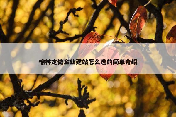 榆林定做企业建站怎么选的简单介绍