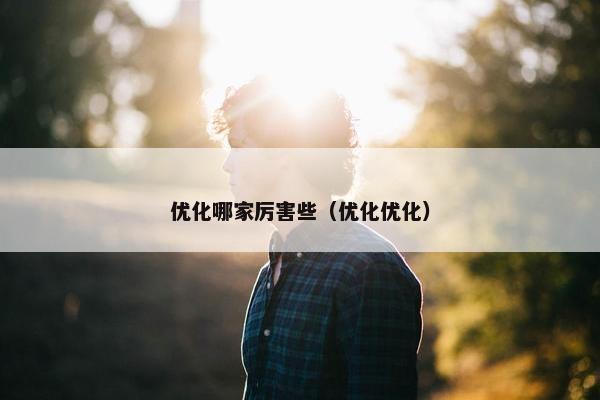 优化哪家厉害些（优化优化）