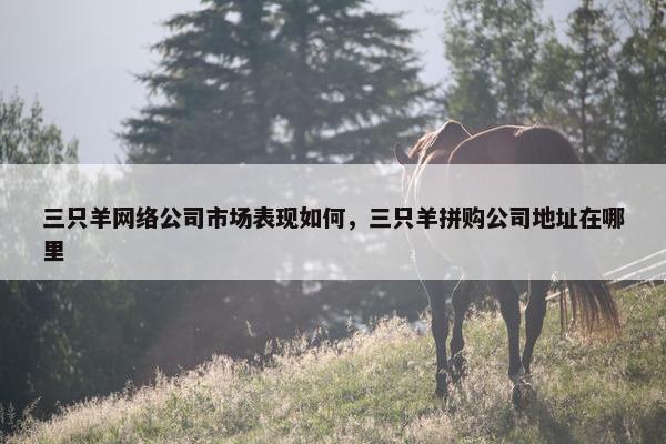 三只羊网络公司市场表现如何，三只羊拼购公司地址在哪里