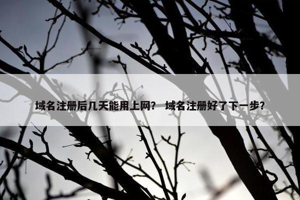 域名注册后几天能用上网？ 域名注册好了下一步？