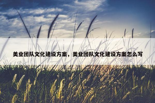 美业团队文化建设方案，美业团队文化建设方案怎么写