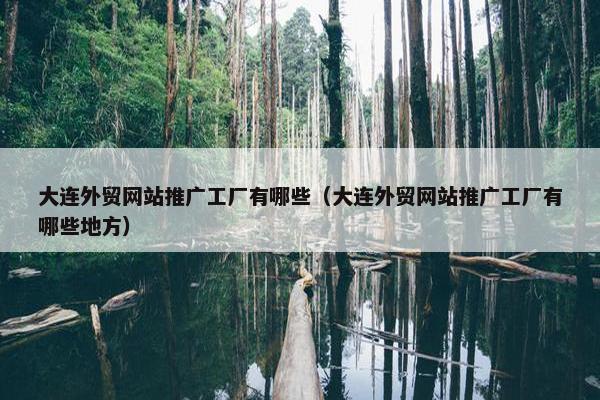 大连外贸网站推广工厂有哪些（大连外贸网站推广工厂有哪些地方）