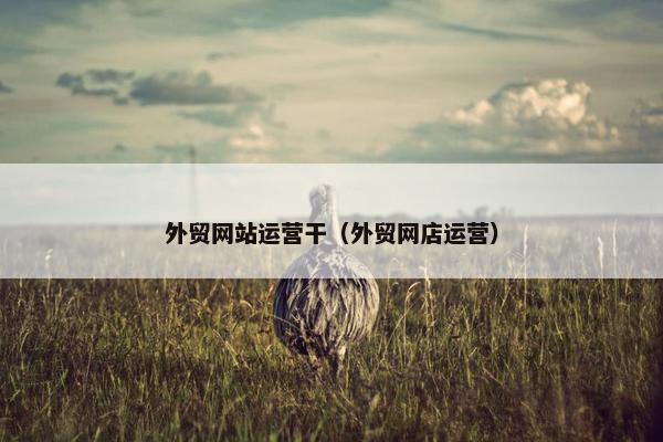 外贸网站运营干（外贸网店运营）