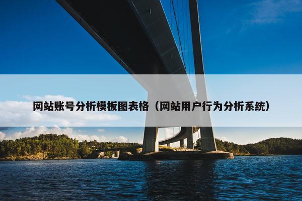 网站账号分析模板图表格（网站用户行为分析系统）