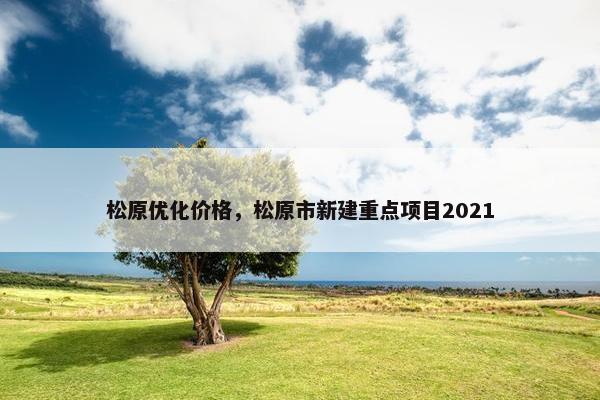 松原优化价格，松原市新建重点项目2021