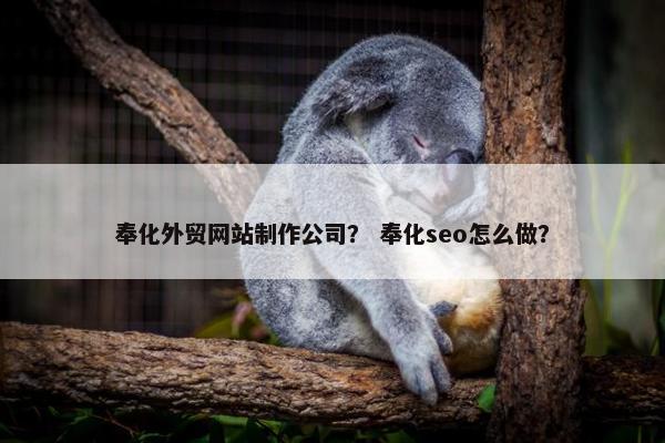 奉化外贸网站制作公司？ 奉化seo怎么做？