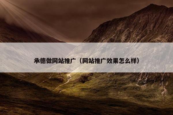 承德做网站推广（网站推广效果怎么样）