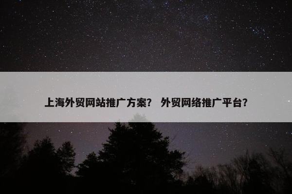 上海外贸网站推广方案？ 外贸网络推广平台？