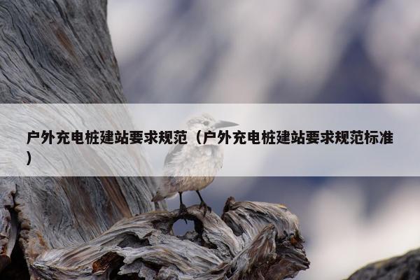 户外充电桩建站要求规范（户外充电桩建站要求规范标准）