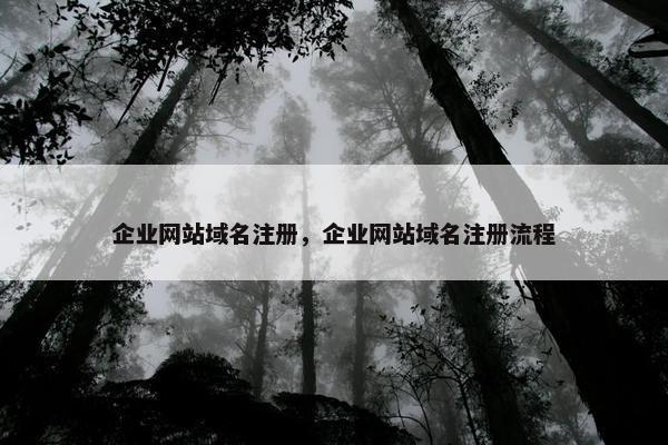 企业网站域名注册，企业网站域名注册流程