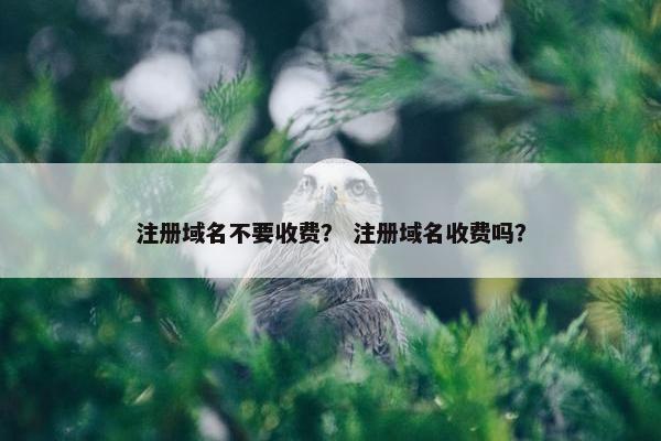注册域名不要收费？ 注册域名收费吗？