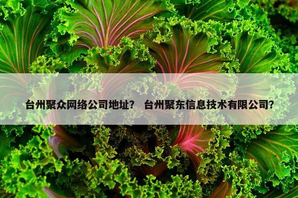 台州聚众网络公司地址？ 台州聚东信息技术有限公司？