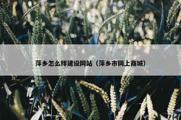 萍乡怎么样建设网站（萍乡市网上商城）