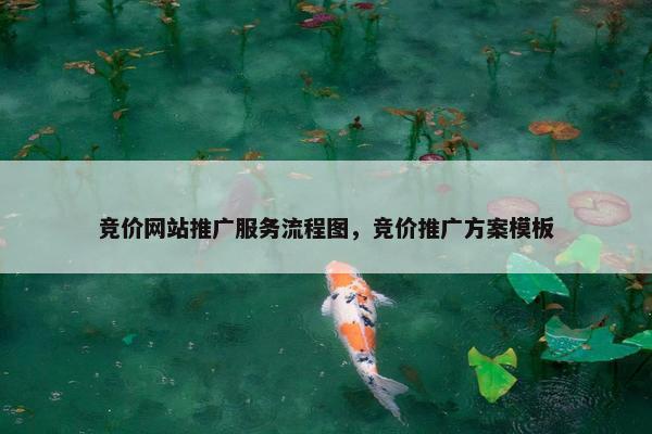 竞价网站推广服务流程图，竞价推广方案模板